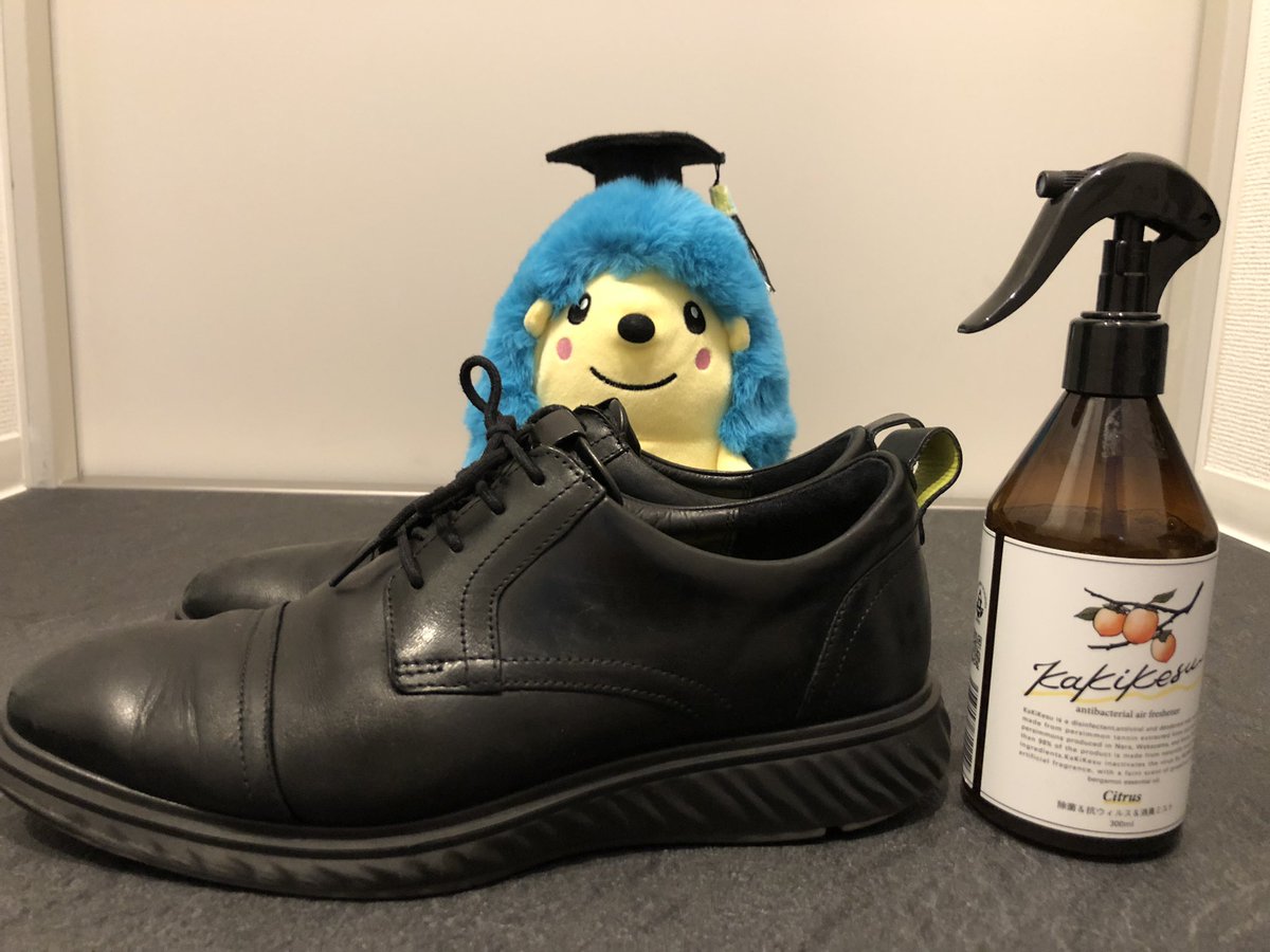seirinshijou's tweet photo. 帰宅後はお世話になった革靴の中に一吹きKaKiKesu！

ハーリー先生からの臭い試験も合格！
（吹きかける前は険しい顔をしてましたが‥）

息子が履いているバスケのバッシュに効果抜群とのお声も頂いております。

商品詳細はこちら
https://t.co/btaRnqIDEM https://t.co/MzaVA5Ax4i