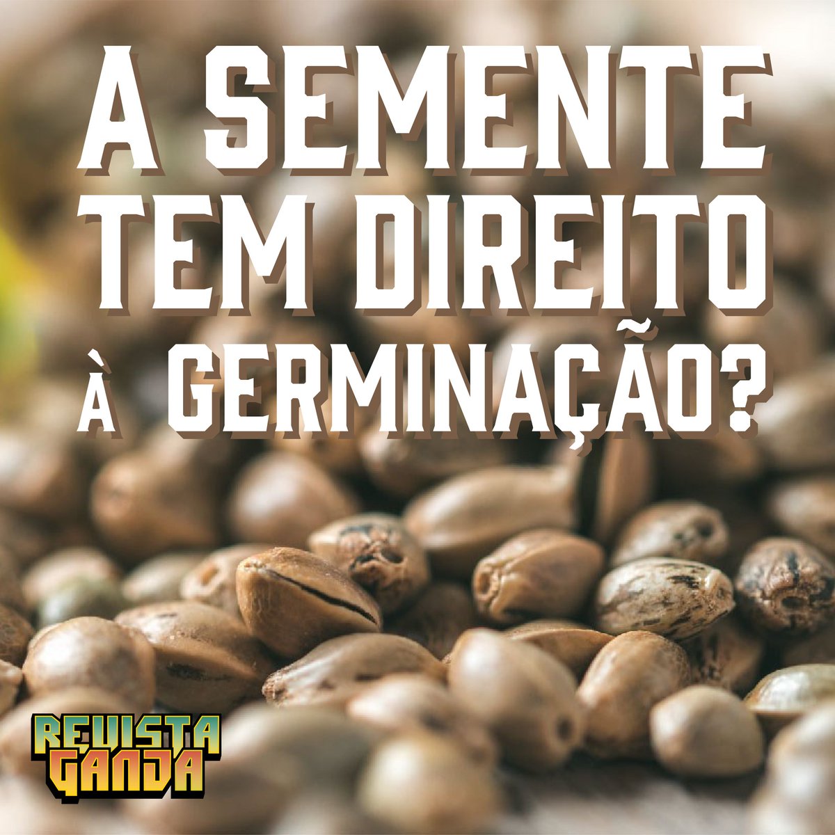 O que você pensa sobre isso?

#revistaganja #maconha #cannabis #weed #legalize #legalização #ganja #hemp #marijuana
