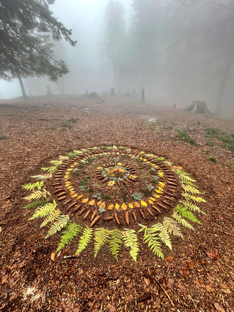 CardadaCimetta's tweet photo. Non sappiamo chi ringraziare per questa splendida opera d'arte ma ci complimentiamo per il magico mandala creato nella natura con la natura 🌲🍂
Cose belle anche nelle giornate più uggiose 😍
.
.
.
#cardada #mothernature #ticinomoments #viviiltuoticino #theplacetobe https://t.co/ytRARwmfO3