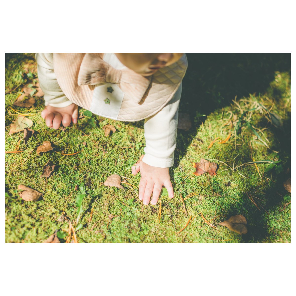 rbstudio_ka's tweet photo. ✔︎𝔹𝔸𝔹𝕐 ℙℍ𝕆𝕋𝕆
先日の撮影より
秋めいたガーデンスタジオで🍁
手に触るものぜーんぶ気になるお年頃☺️
#ベイビー撮影軽井沢
#rbstudio #アールビースタジオ#軽井沢 #軽井沢写真 #軽井沢写真スタジオ #佐久写真スタジオ #上田写真スタジオ
#生後3ヶ月 #karuizawa #子供写真 https://t.co/ASNVZTXKML