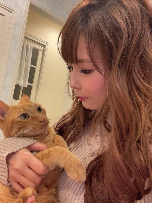 猫好きだと思う芸能人 ランキングtop10 1位は 中川翔子 さん 21年調査 1 3 ねとらぼ調査隊