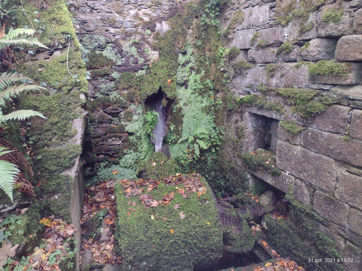 ThiChaplain's tweet image. Un moulin près de l'#Abbaye du #Relec, hier après-midi. #Patrimoine #MontsdArrée #Finistère #Histoire #vieillespierres #balade #GRPMorlaix