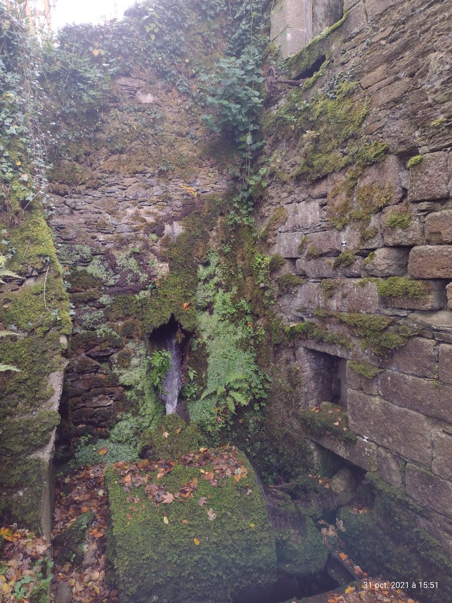 ThiChaplain's tweet image. Un moulin près de l'#Abbaye du #Relec, hier après-midi. #Patrimoine #MontsdArrée #Finistère #Histoire #vieillespierres #balade #GRPMorlaix