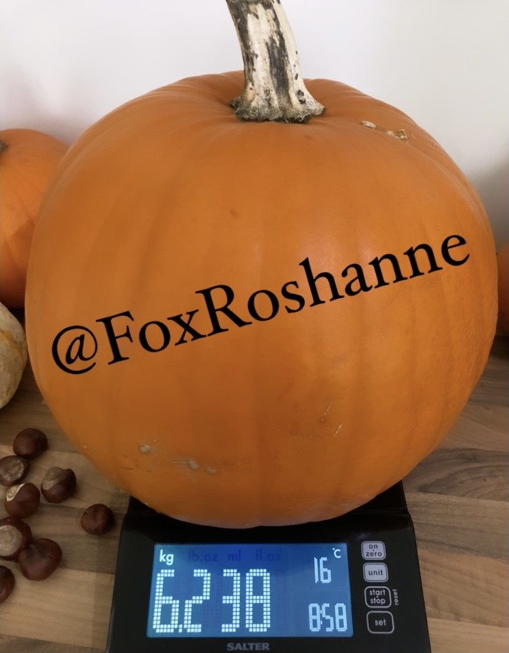 PATKingsSchool's tweet photo. Thank you to everyone who entered our #pumpkin competition and had a guess at the weight π #KingsWeeklyMathsChallenge
The exact weight was 6.238kg and the #winner of some delicious #Haribo sweets is (π₯ drum roll, please!) @FoxRoshanne π Well done!! https://t.co/UDP7GUaDJB