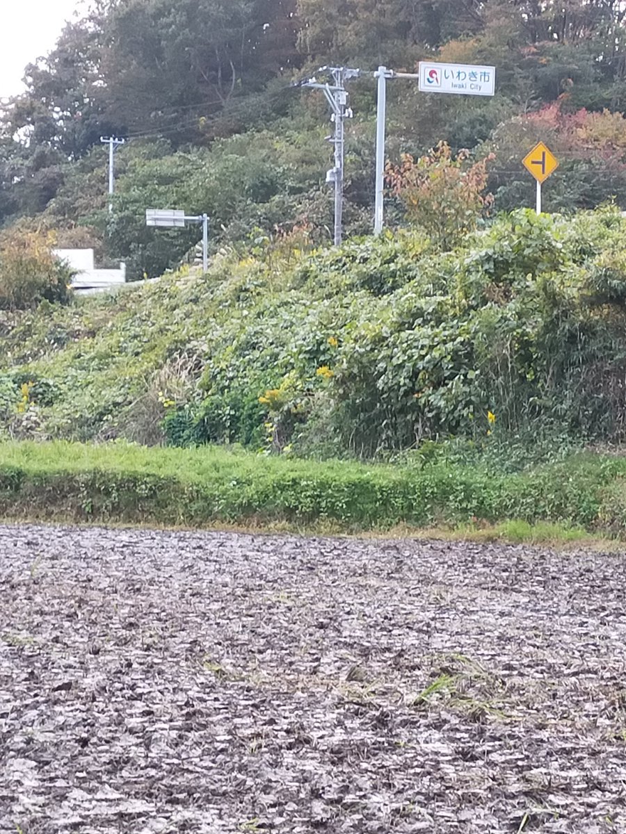 hamatsutomoaki's tweet photo. 夕闇が迫る中、広野町からいわき市に入りました！今回は末続駅迄としまして、一旦、旅を切り上げ、次回は末続駅から歩きます(^_^)さて、いよいよ、いわき市に辿り着き、今回の歩く旅も終盤を迎えております！！
#なすびが歩くうつくしま浜街道トレイル https://t.co/0zJkbLh9Cz