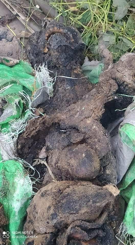 huangsizzie's tweet photo. In Hluttaik village, KyunHla tsp, SAC terrorists shot dead to Nyein Tun, aged 29, and threw away in a pit latrine on Oct 29, reportedly.
MYANMAR NEEDS HELP
#WhatsHappeningInMyanmar
#Nov1Coup https://t.co/Gs6ATx5y2O