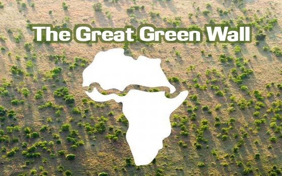 Future__Earth's tweet photo. The Great Green Wall initiative to grow an 8000km strip of vegetation across Africa.
Weaving it’s way from Senegal to Djibouti, this new world wonder will be visible from space! #FutureEarth #sustainbility #climatechange  https://t.co/TMp26D41ZG https://t.co/8CLtnONxug