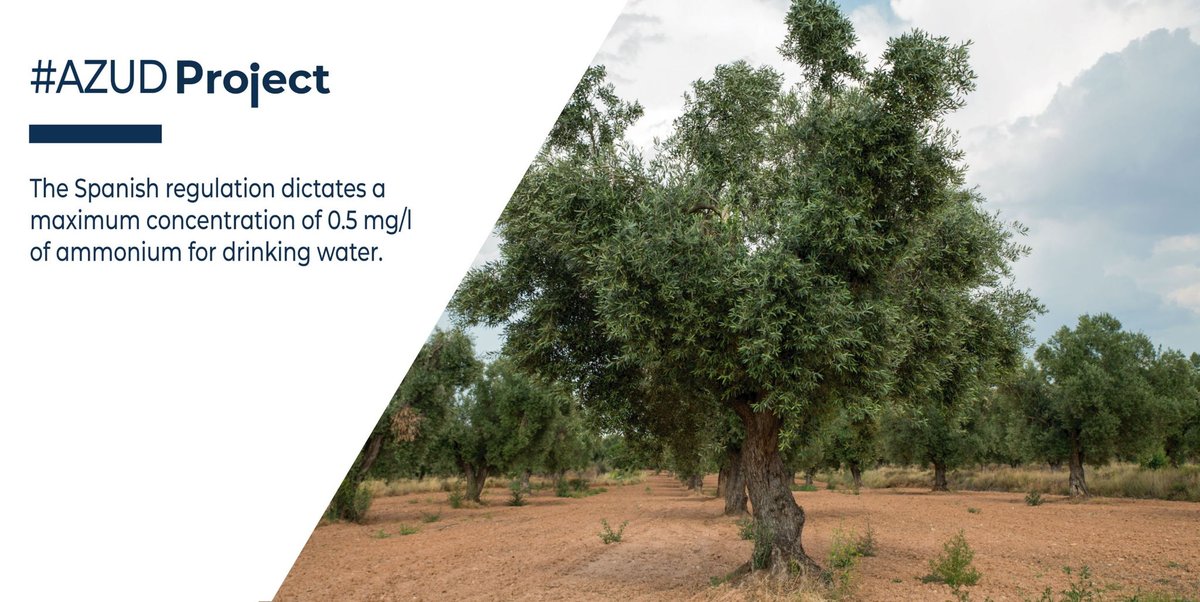 AZUDWater's tweet photo. In this #AZUDProject we talk about the case of an agricultural cooperative in Spain with problems in the quality of their well water due to ammonium concentration.
The ammonium could be transformed into nitrates and these could be eliminated.
#AZUDIsMuchMore #AZUDTeam https://t.co/tUdZvpQKtb