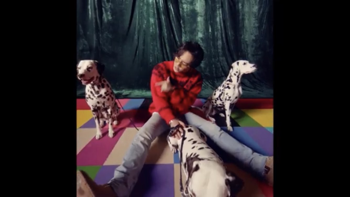 Tomo Mate Crew Th 犬 と戯れる臣ちゃん可愛い カメラの横からひょっこり出てくる岩ちゃんも Naotoさんがひょいひょい横切っていくのも萌え 三代目jsoulbrothers Honey 登坂広臣 T Co T0wubvmpvh Twitter