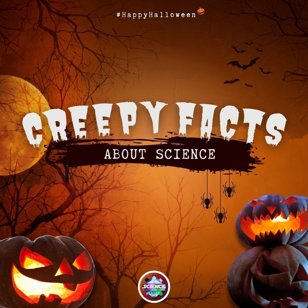 MUScienceClub's tweet photo. TRICK OR TREAT! 🎃

Ghostly Greetings from the Mapúa SHS - Science Club! 👻

Fill your stomach with a bundle of candies! 🍭🍬

Feast your curiosity with a bunch of stories! 🧐

#MapúaSHSScienceClub

Caption by: Allyza Padagdag
Layout by: Nicole Dayrit and Sam Morales https://t.co/2XI0oLYMW0