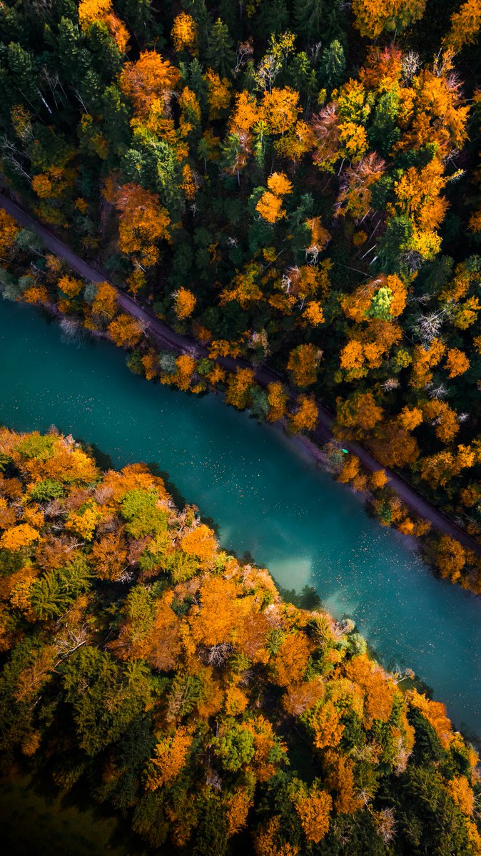 #switzerland is on 🔥🔥 with #autumn colors 🤩

@DJIGlobal
#dronepals #NFTCommunity #NFTartists #Mondayvibes #photooftheday #colorful #dronephotography #aerialphotography