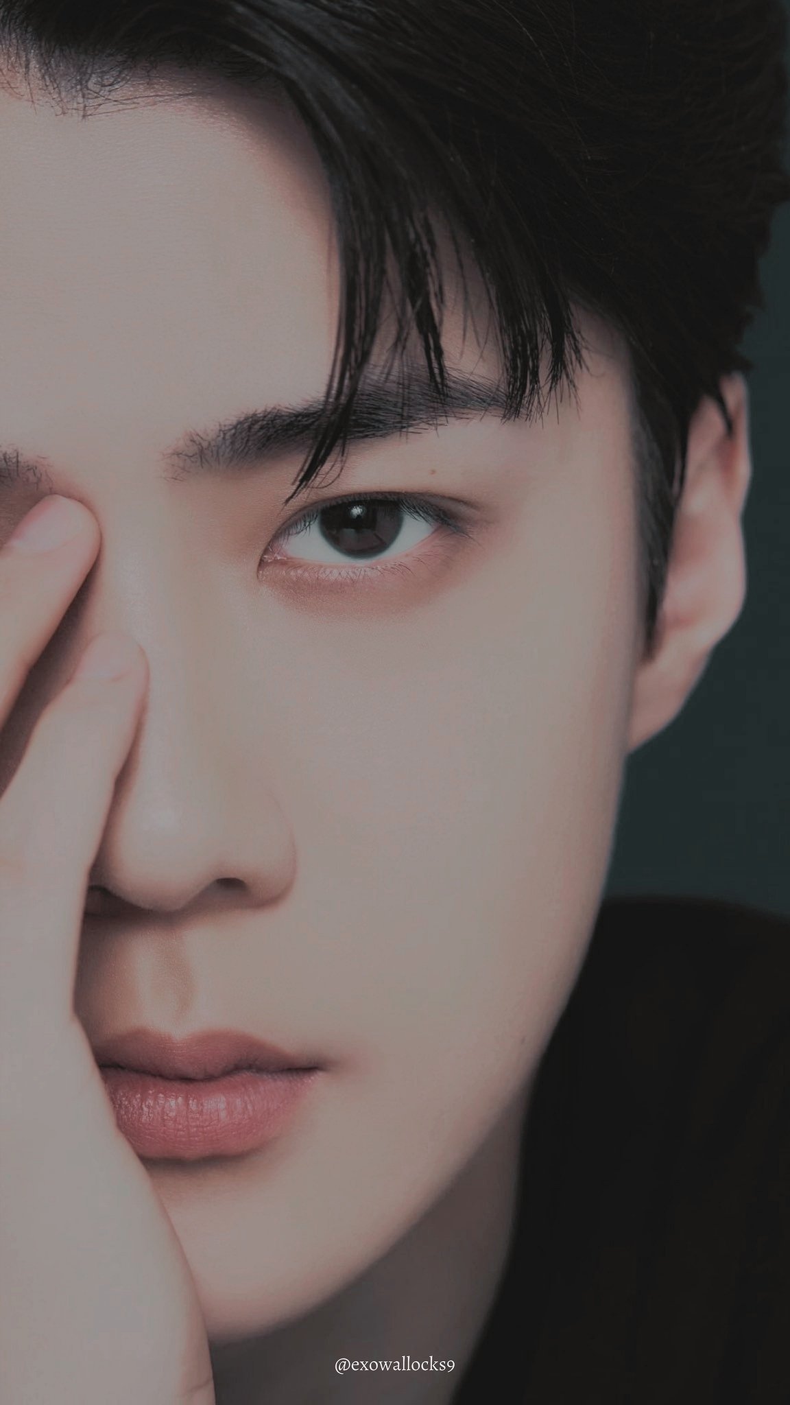 sehun exo wallpaper