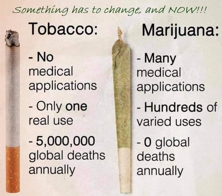 85Podge's tweet photo. #cannabisreformIreland 🥦💚🇮🇪 https://t.co/UtpYQ3Sf93
