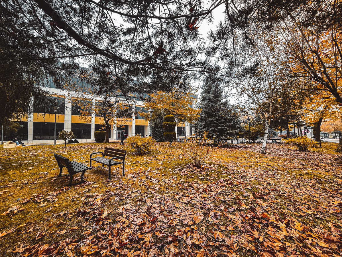 🍂 Kasım’da SAÜ başkadır 🍁

#SakaryaÜniversitesi #KasımdaSAÜbaşkadır