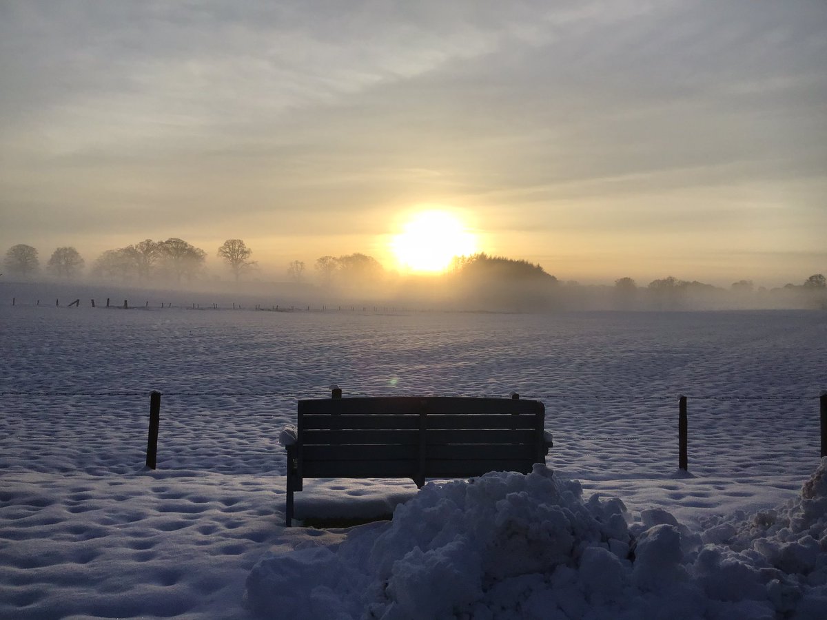 MyFaveBench's tweet photo. I wonder how long it will be before we start getting pictures like these 🥶🥶🥶🥶🥶🥶🥶🥶🥶🥶🥶
#pewswithviews #SnowyBench https://t.co/zZ0lFhtYme