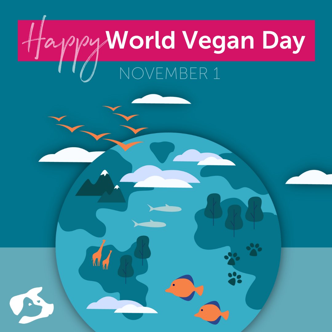 BeyondCarnism's tweet photo. Happy #WorldVeganDay everyone🌎💚
Today is a double celebration for us, as our award-winning video; #CatchOnToCarnism has been selected for screening at the 2021 International Vegan Film Festival @veganfilmfest 🎉Check out the festival online until Sunday, November 7.🤓#IVFF https://t.co/A5rpQmK9Yy