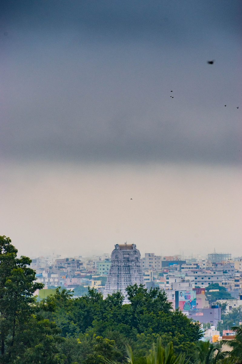 Itsmytirupati's tweet photo. Govinda raja swamy temple side view
during a monsoon day !!! β€οΈππ»
Bliss to watch these gopurams in a rainy day !!!π€©
Credits: Shirdinath
#templesofindia #throughmylens
#_m_o_i #travelwithmagee #monsoonmagic #gopuram
#tirupati #andhraadda #andhrapradesh https://t.co/P46TljCAav