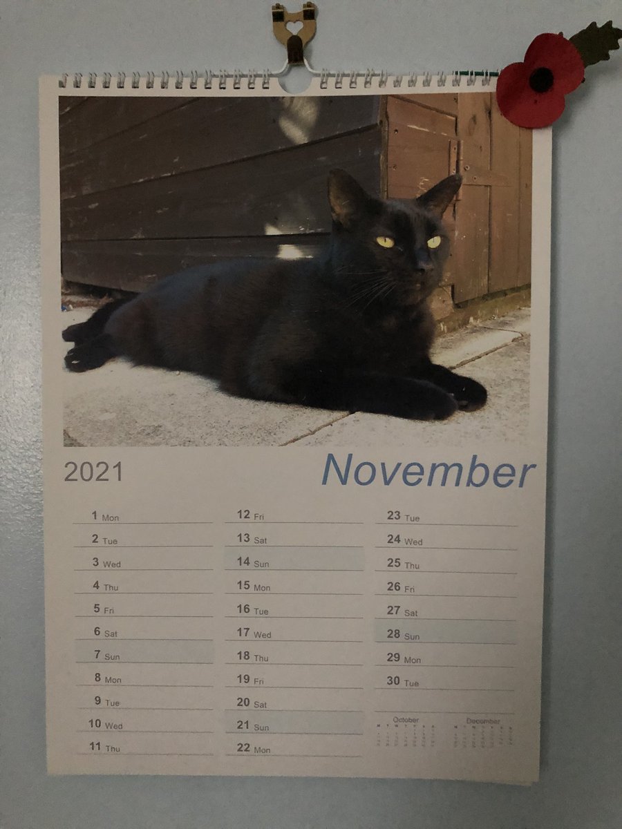 Mr Boris🐾 *Parody* tweet media