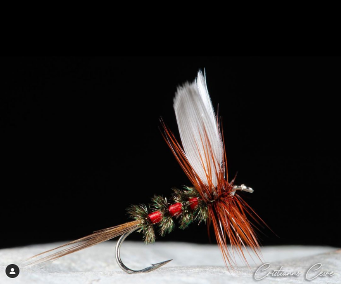 FarmsWhiting's tweet photo. Beautifully Executed @cristiano_cesare_flies
Daniels coachman #flytying #flytyingporn #flybox #flyboxporn #flyfishing #instafishing #troutflies #flytyingjunkie #flytyingart #catskillfly #whitingfarms https://t.co/z6YDAqQrsh
