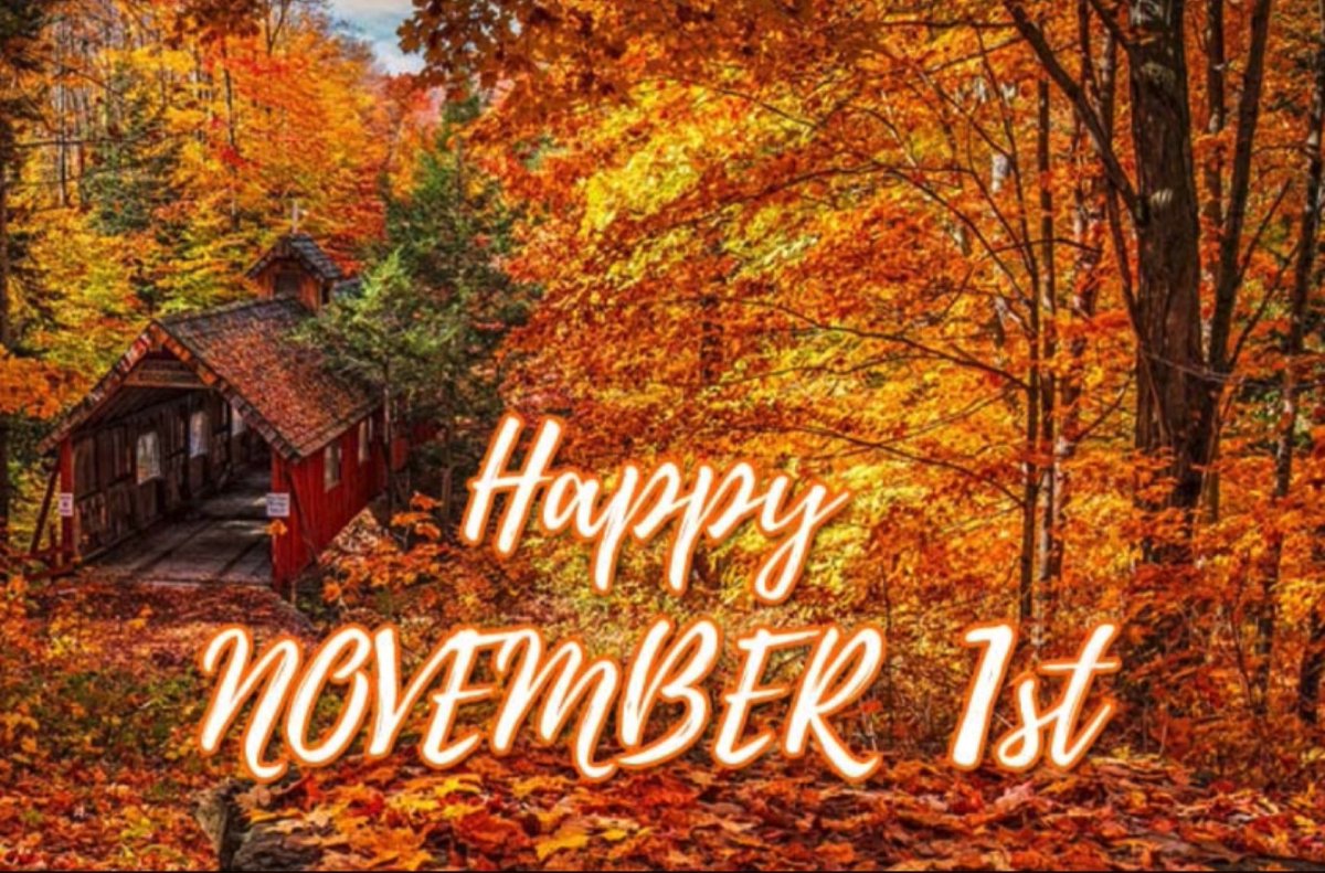 mjstocks1's tweet photo. And with that, it’s November! I’d normally complain about things moving quickly, but part of me thinks the more time we get between ourselves and 2020 – the better! Here’s to bonfires, cosy nights, and Christmas shopping! #November #HappyMonday #CosyTimes #CountdowntoChristmas https://t.co/DoVFlrwtzm