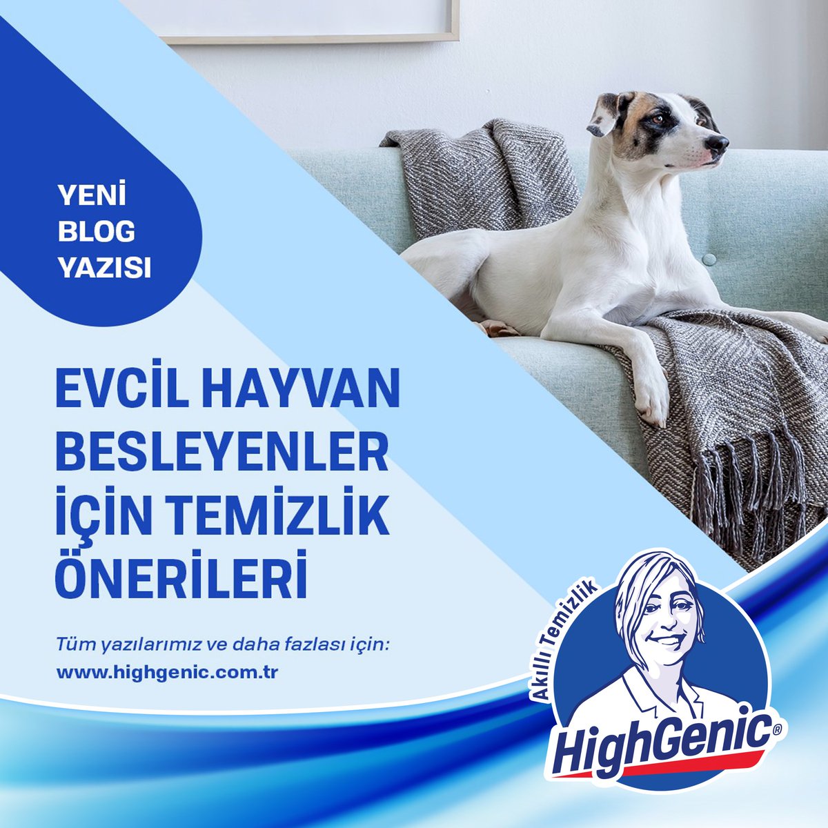 highgenic.com.tr/tr/blog-detay/…
#highgenic #highgenicblog #evcilhayvan #Vegan #veganürün #temizlik #temizevim