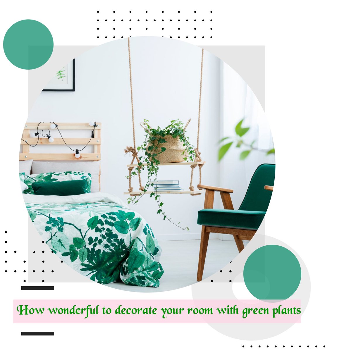 mostra_m's tweet photo. How wonderful to decorate your room with green plants https://t.co/BQh0GqMvpr