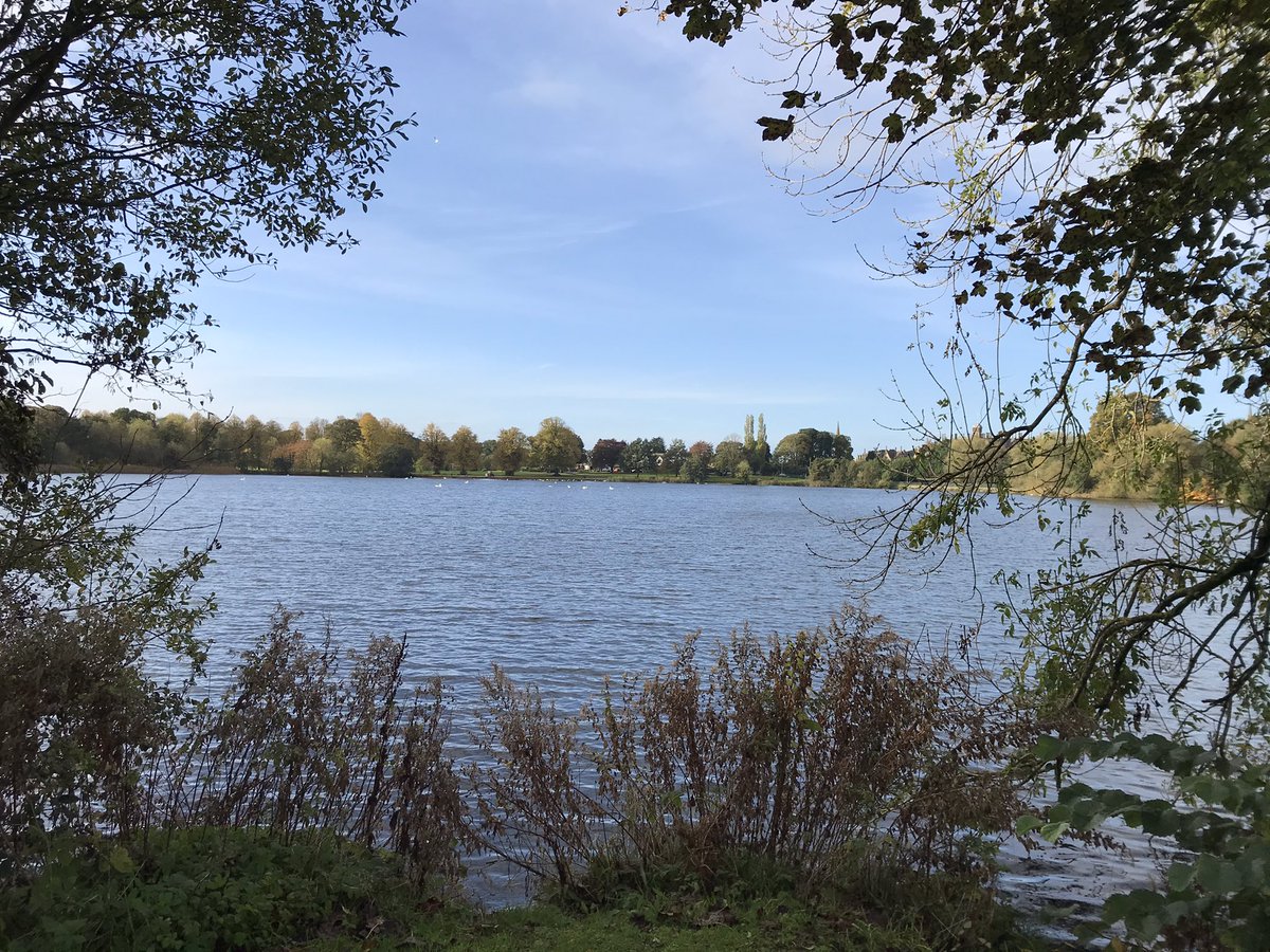 AdelaGingeree's tweet photo. A beautiful brisk walk early this morning! 
🍁🍂🍂🍁🍂🍂🍁
#LurganPark 
#CountyArmagh 
#NorthernIreland https://t.co/BguPsS20gx