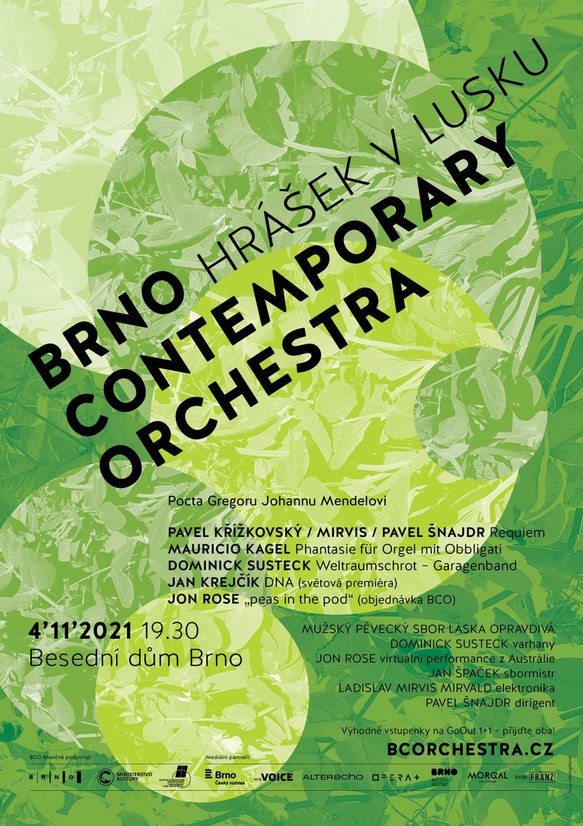 4.11. koncert Hrášek v lusku - Besední dům. Nenechte si ujít. Světové premiéry, vynikající varhaník :)