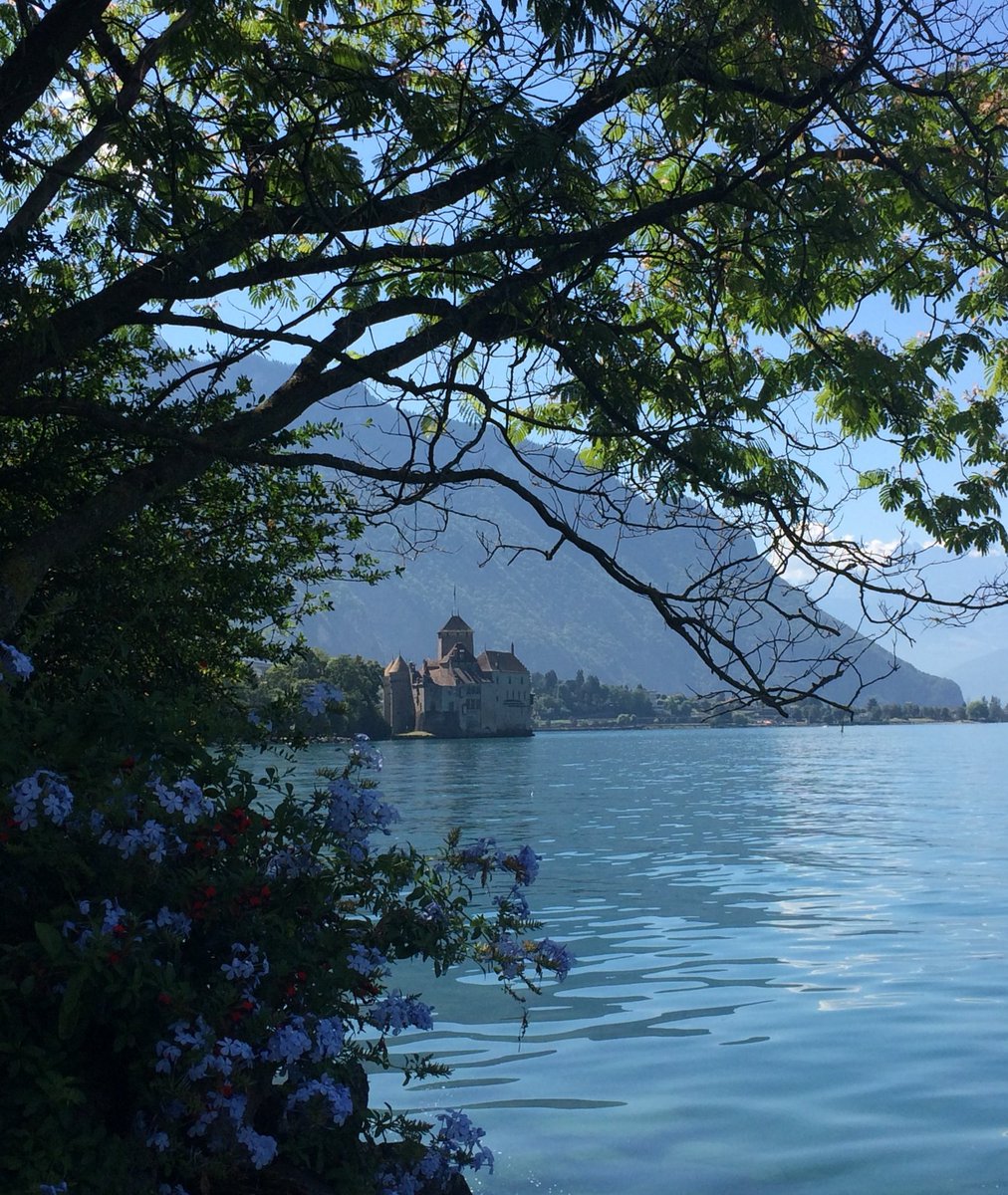 Jen_22 🇵🇸🕊 tweet media