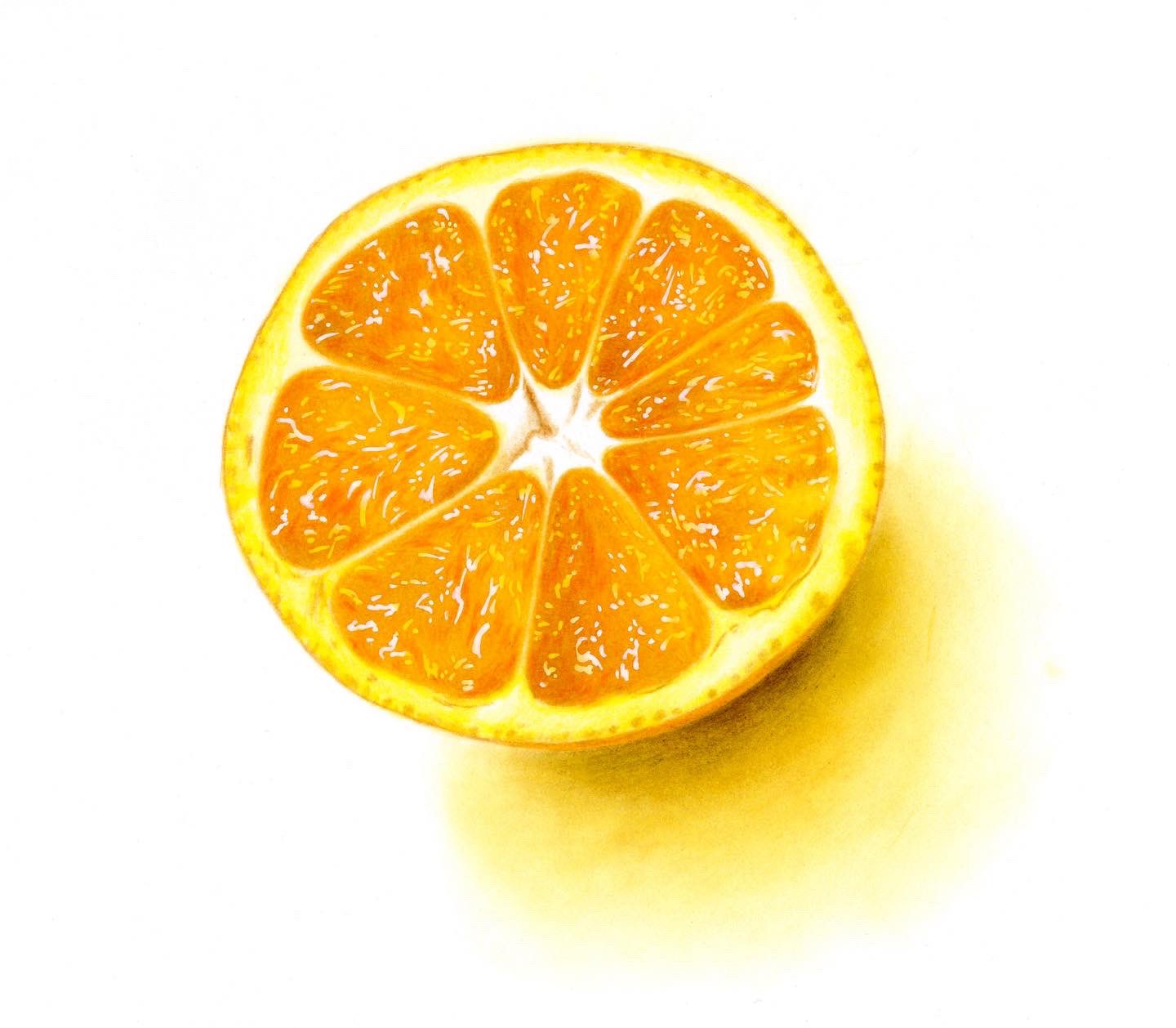 ここまる 著書 超絶リアルな色鉛筆画のテクニック 好評販売中 オレンジの色鉛筆画です 描き方は私の著書の中で説明してます 少しずつみずみずしくなっていくのが楽しいんですよね オレンジ みかん 色鉛筆画 色鉛筆 超絶リアルな色鉛筆画の