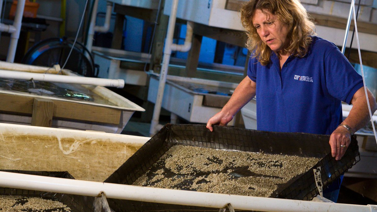Congrats to <a href="/FloridaSeaGrant/">Florida Sea Grant</a>'s Leslie Sturmer! 

<a href="/FloridaTrend/">Florida Trend</a> named her one of Florida's most influential business leaders. bit.ly/30XpPKa 

#Aquaculture #CedarKey