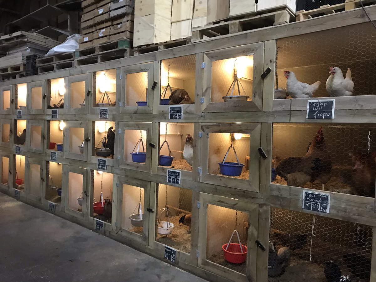 CarolinedePee's tweet photo. Mooi bezoek aan dierenspeciaalzaak Agra Totaal in Berltsum, een begrip in de regio! Al de vijfde generatie die hier het bedrijf runt! #deskundig #kwaliteit #opmaat @ondernemend_wdh https://t.co/2mdqxDg8ze
