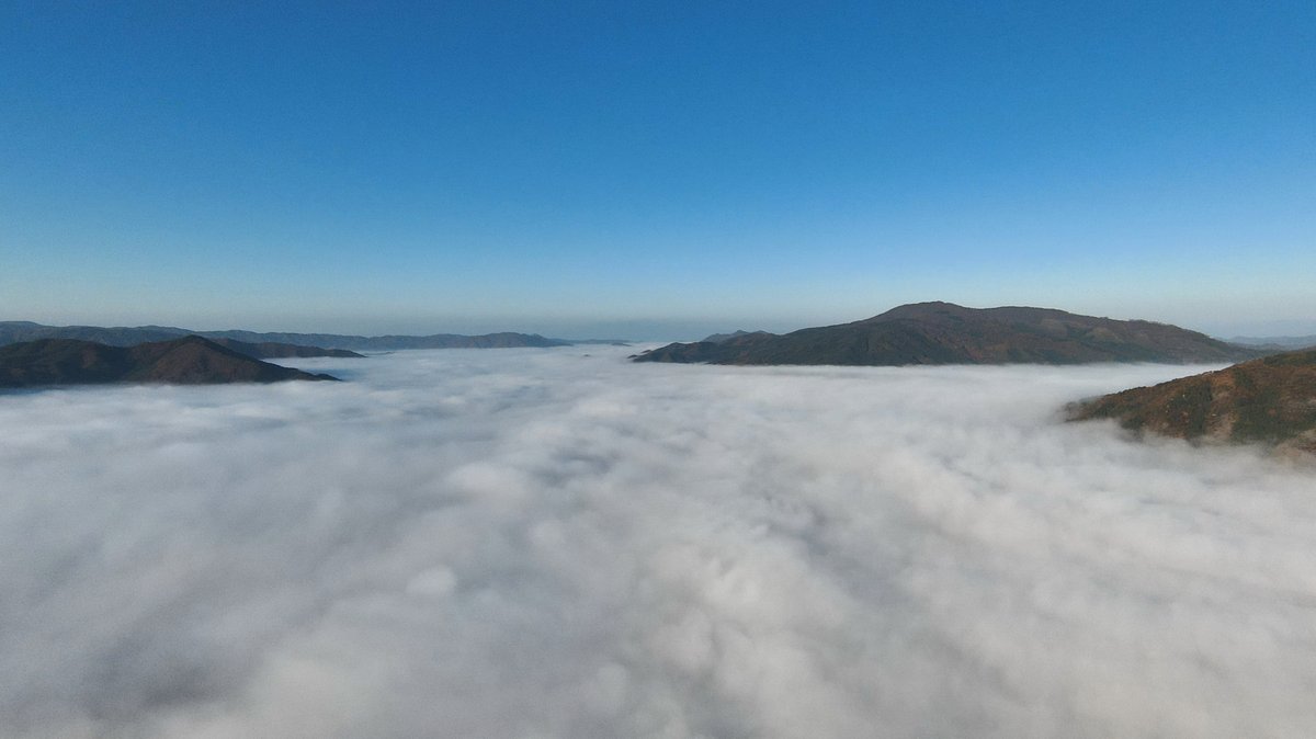 StudioRei's tweet image. #GPV気象予報 weather-gpv.info で #雲一つない #快晴 の筈なのに「曇りじゃん！」って場合は大抵 #雲海 の下。標高100～200ｍ位の高さの山から見渡せる条件があれば、#天国 の住人になったような #美しい世界 。#写真好きな人と繋がりたい #ファインダー越しの私の世界 #岩手 #遠野 #紅葉 #秋