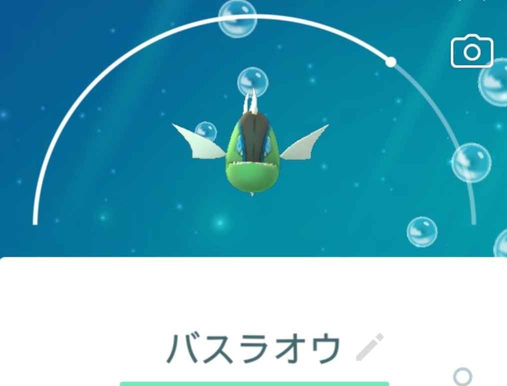 Top Tweets For バスラオ Twstalker Top Tweets For バスラオ Twstalker