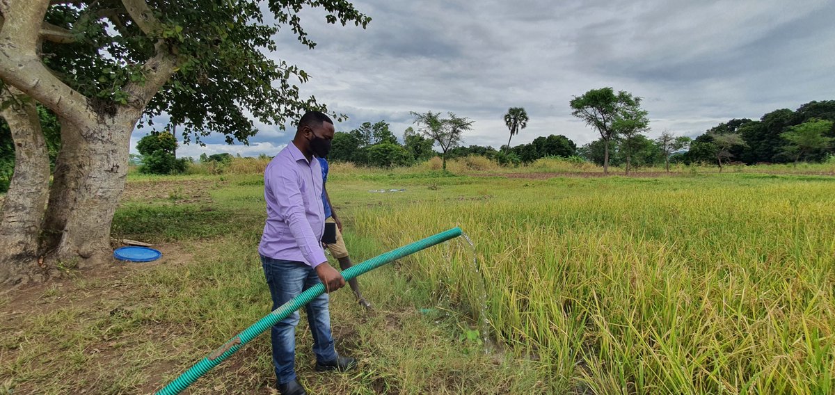 MICF_Malawi's tweet photo. What are the environmental challenges that Malawi faces and what are the types of innovation that the private sector is adopting to meet these challenges? Read the latest MICF blog to find out more https://t.co/45D740qPBh @undpmalawi @Nathan_Inc 
#COP26 #climateaction #innovation https://t.co/J96w4uuCUG