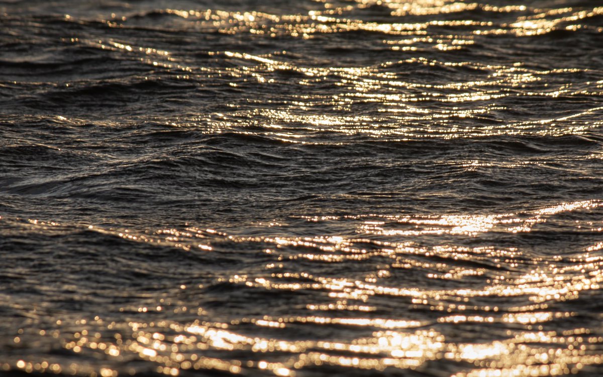 DeaveBen's tweet image. Just can’t get enough water textures at the moment! 

Got a favourite?