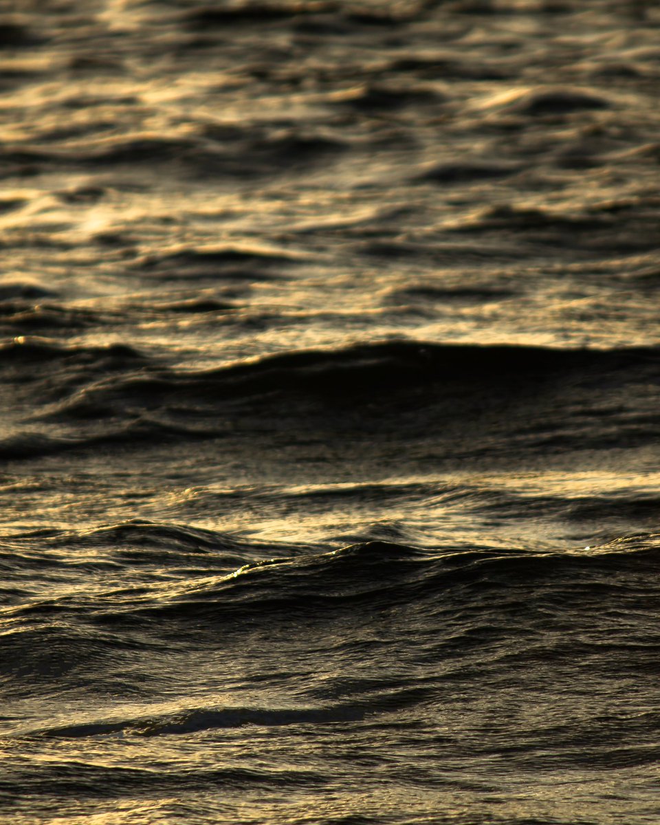 DeaveBen's tweet image. Just can’t get enough water textures at the moment! 

Got a favourite?