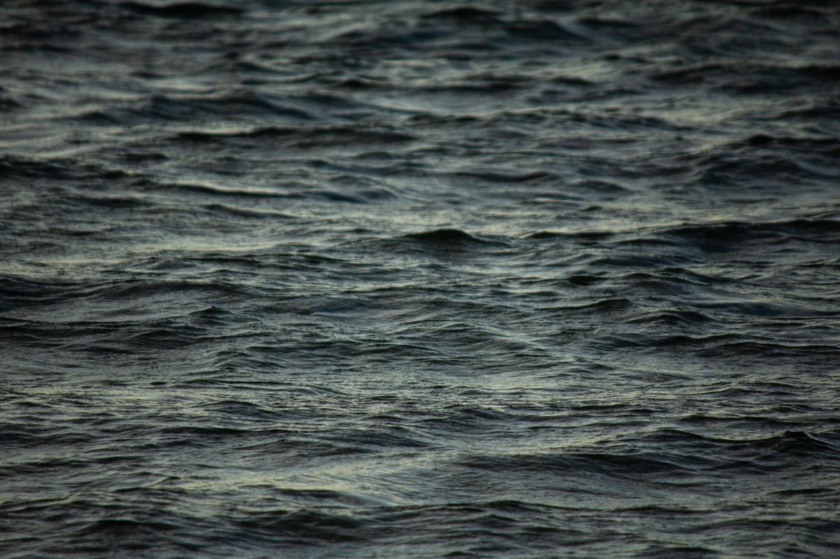 DeaveBen's tweet image. Just can’t get enough water textures at the moment! 

Got a favourite?