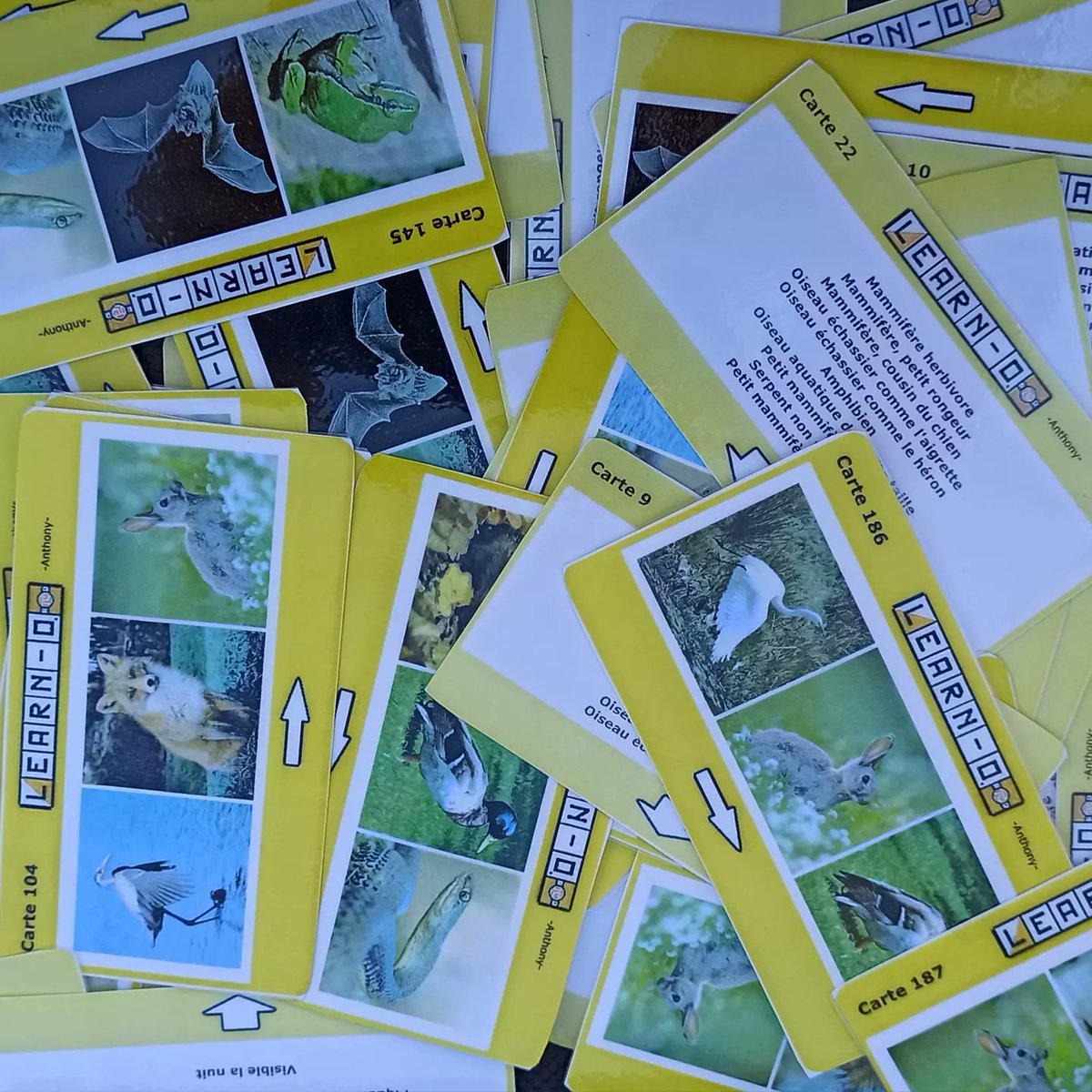 azimute_fr's tweet photo. Animation Learn-o dans le cadre du lancement de l'application "Les explorateurs des parcs" organisé par le Département des Alpes-Maritimes. 
Création de cartes sur les animaux et les paysages du parc et géoplans immersifs étaient proposés au public. 
@departement13 
#learno https://t.co/r2TwumME7c