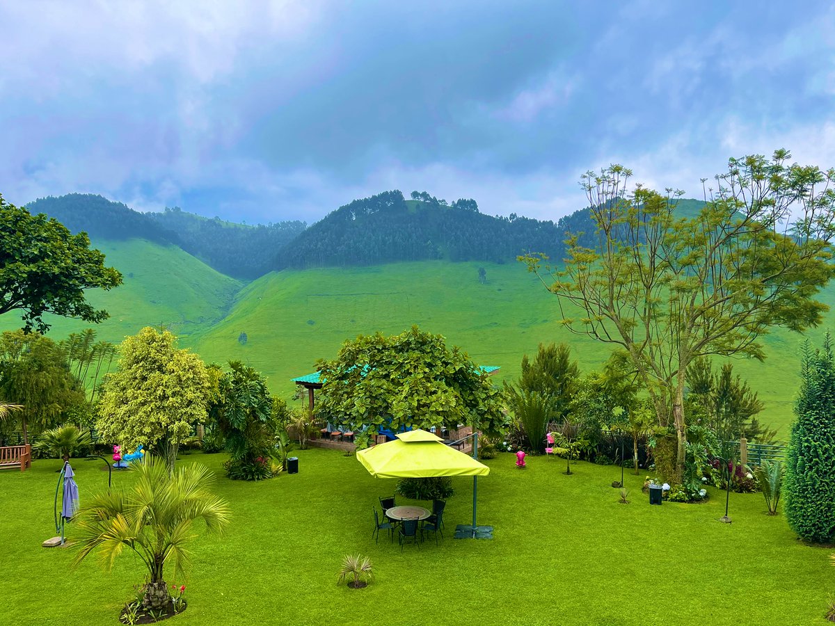 Wode Maya ® tweet media