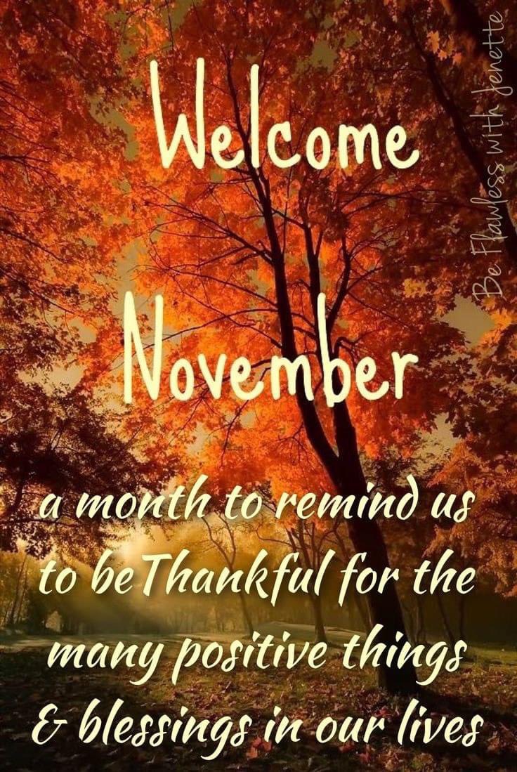 🤎 Happy November 🤎#HappyNovember #November