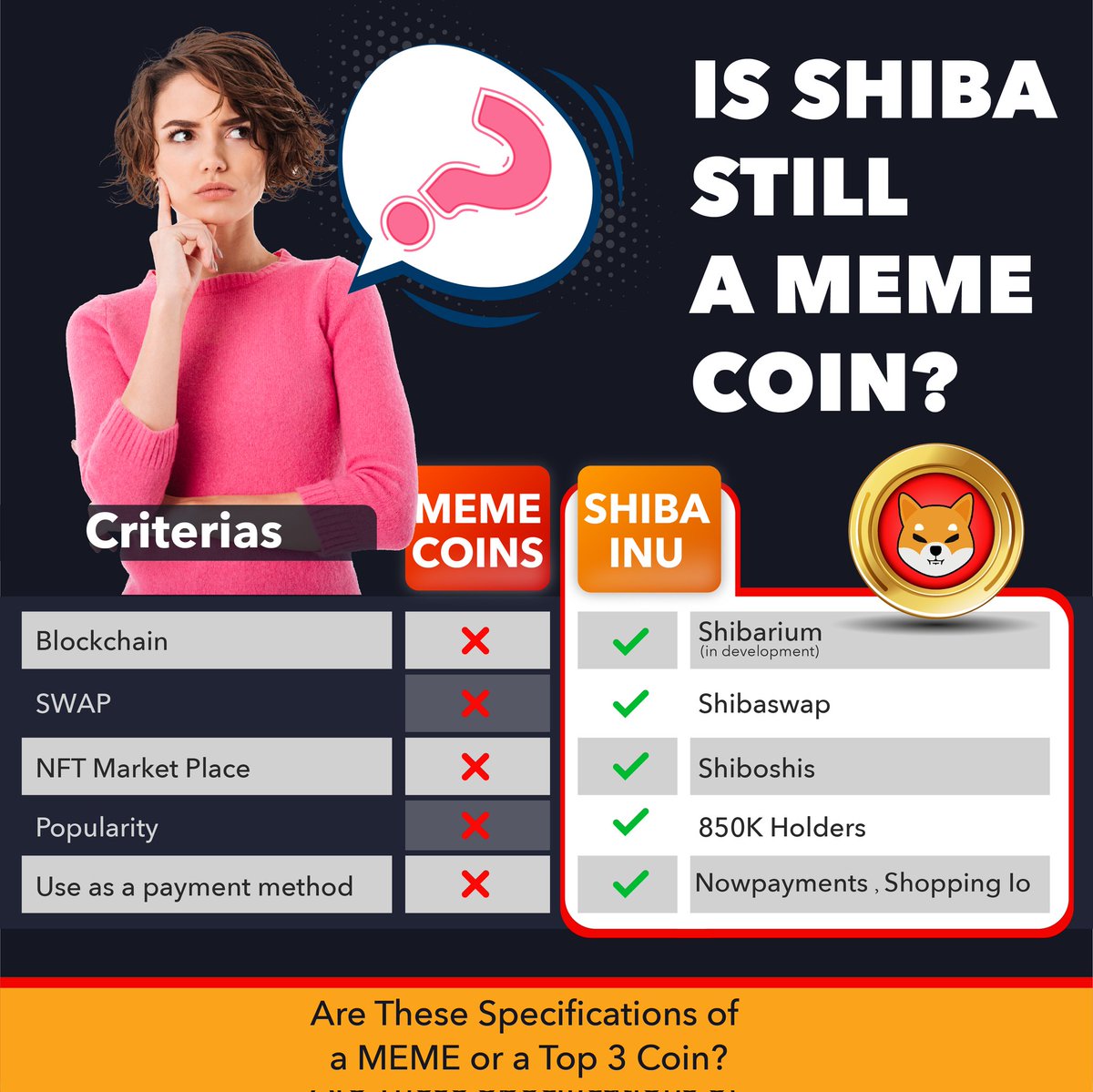 SHIB INFORMER tweet media