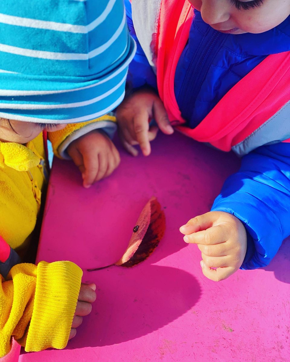 shmarylebone's tweet photo. Cygnet Class found a lovely structure in Regents Park this morning and enjoyed exploring. We also found a little ladybird 🐞and spent some time looking at it carefully before it flew away. #outdoorlearning #regentspark #earlyyears #nurseryschool #eyfs @chatsworthschls https://t.co/lYNVyRMdMY