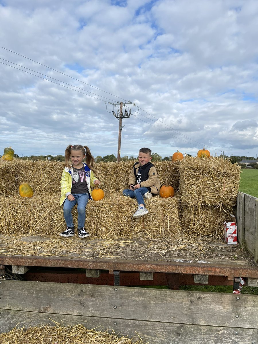 My favourite pumpkins😍