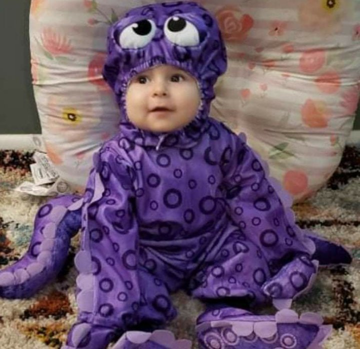 battle4bailey's tweet photo. Our beautiful daughter Elektra as an octopus on her first halloween! #fox29goodday https://t.co/indwjfjUSr