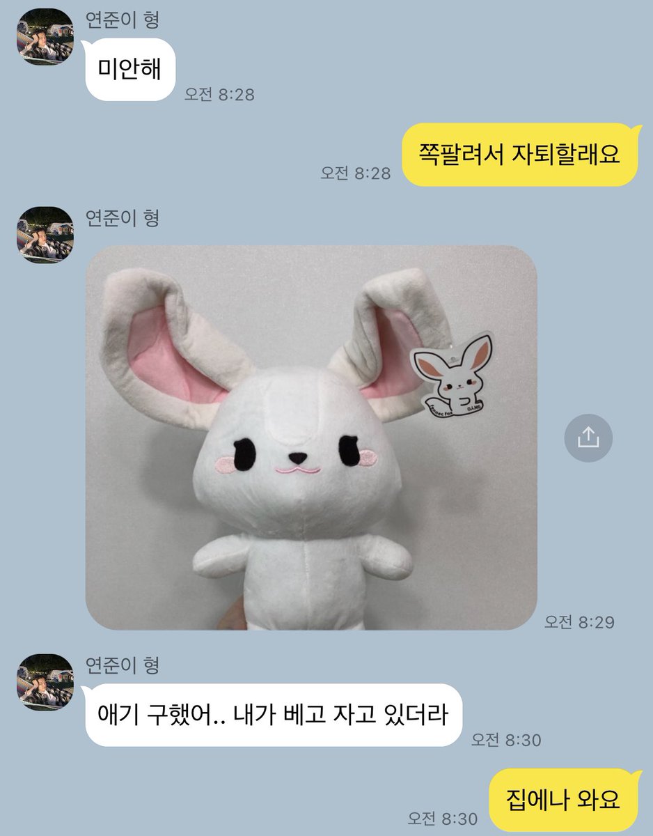 여우토끼