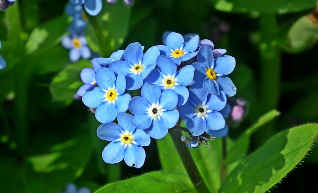 sinavesh tweet picture