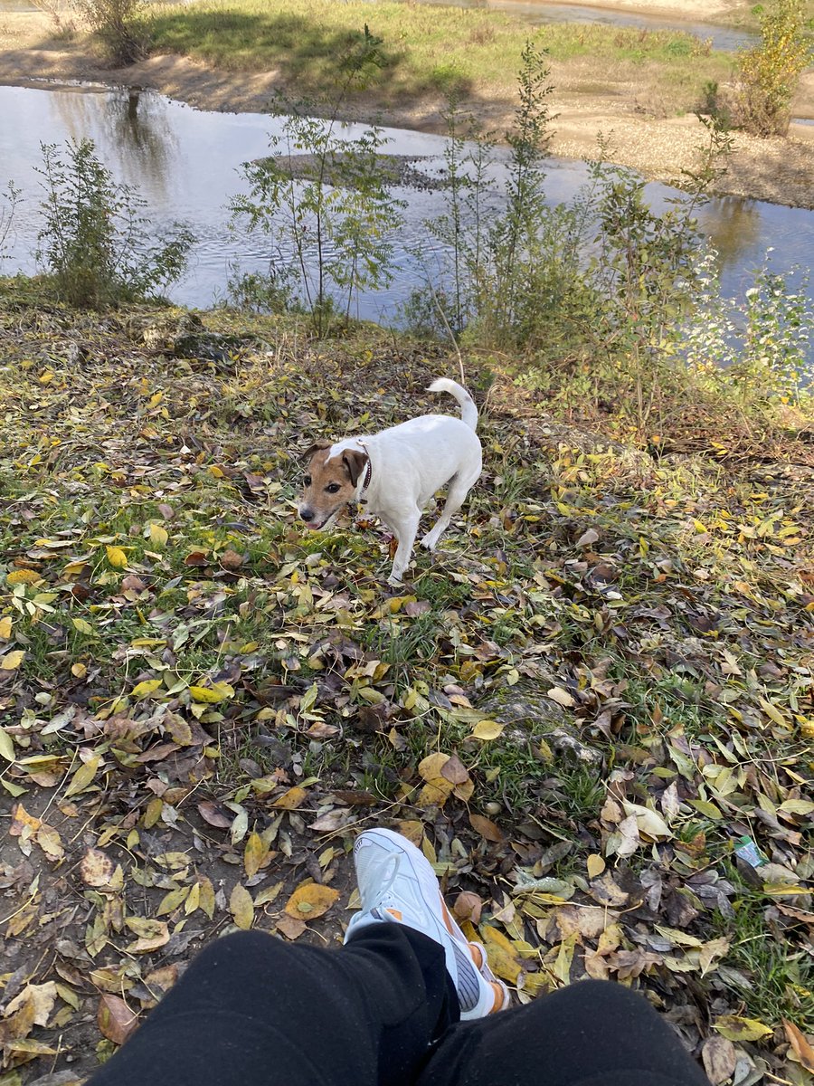 Calipone's tweet photo. #firstNovember https://t.co/Zb7IwHK9Wb