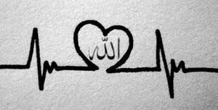 dompetdhuafaorg's tweet photo. "Awal dari ketenangan adalah mengingat Allah dan awal dari kebahagiaan adalah percaya pada-Nya." - Murnisetya #DDQuote https://t.co/39tGDu86Rb
