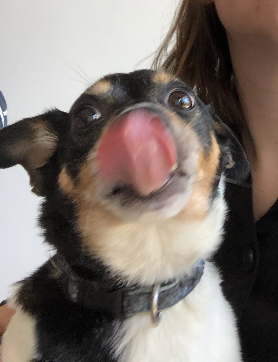 Anna Lewis tweet media